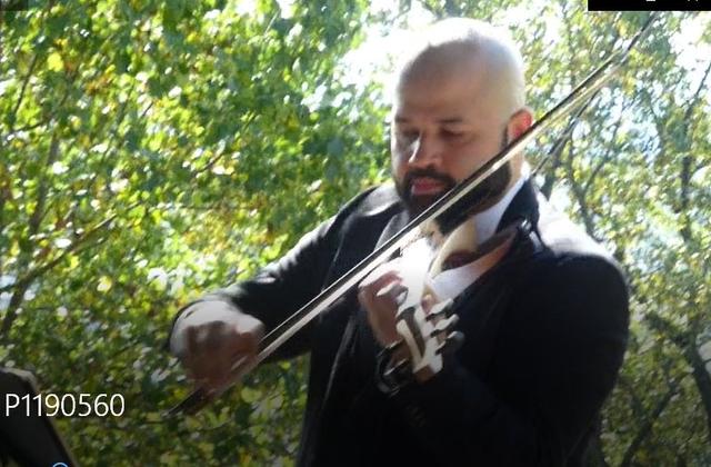 James Teal Violin - 4