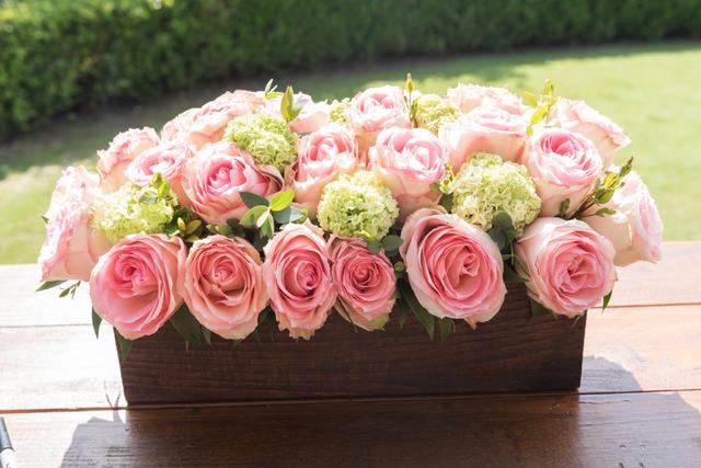 Francos Flowers - 3