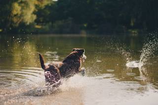 Holen Photography - 76