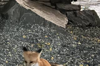 Blackstone Rivers Ranch - 18