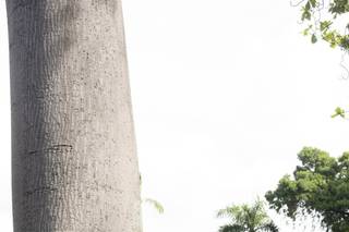 Vivir Photography - 7