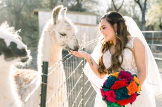 Harper Hill Ranch - 54