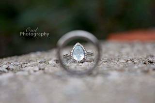 Owl Photography - 7