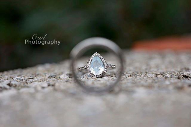 Owl Photography - 3