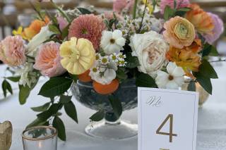 Imoni Events - 24