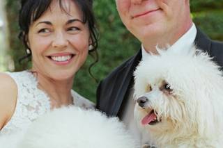 Doggy Social or Doggy Social Weddings - 13