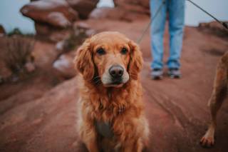 Courtney Tyner Photography - 12