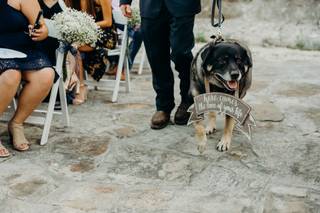 Elisa Lopez Photography - 9