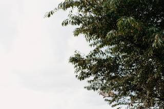 Anna Lowe Photography - 20