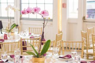 Chiavari Chair Rentals NY NJ CT DC MD VA FL IL PA MA RI - 14