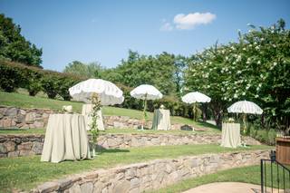 Professional Party Rentals - 7
