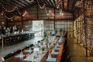 Nostrano Vineyards - 29