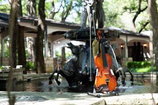 The Vista on Seward Hill - 17