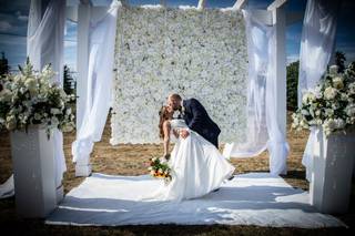 Colin Collins Photography - 18
