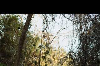 Jamie Dee Photography - 9
