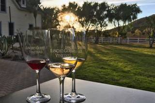 Rancho Guejito Weddings & Events - 38