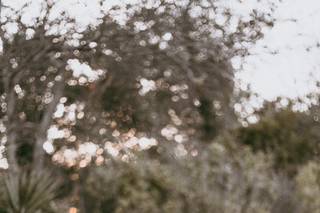 Jennifer Kapicka Photography - 6