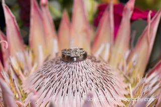 Joys of Life Photography - 12