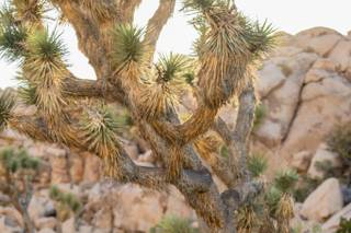 J.Perryman Photography - 42