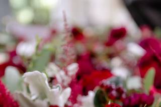 Austin Wedding Planners - 26