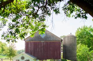 Serenity Farm - 17