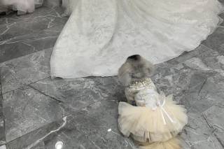 Elegance By Roya Bridal Atelier - 16
