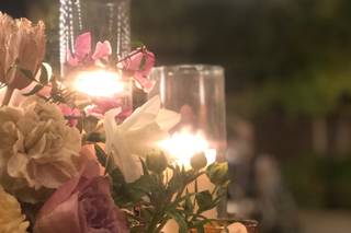 Shindig Chic - 35
