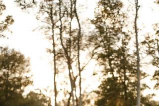 Cypress Creek Farmhouse - 52