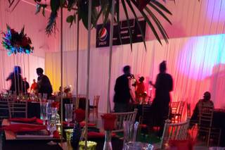 Signature of Elegance - 6