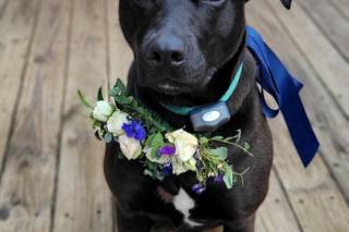 Johnson's Florist and Garden Centers - 7