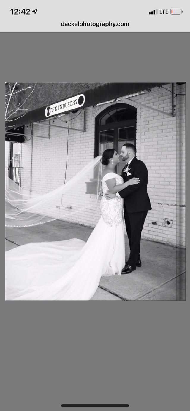Dackel Photography - 2