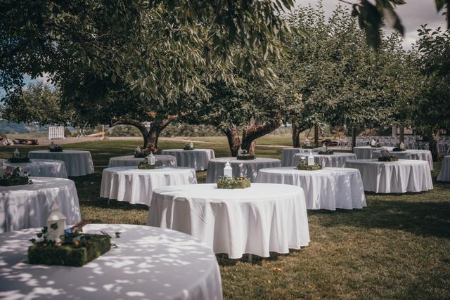 The Orchard at Sunshine Hill - 4