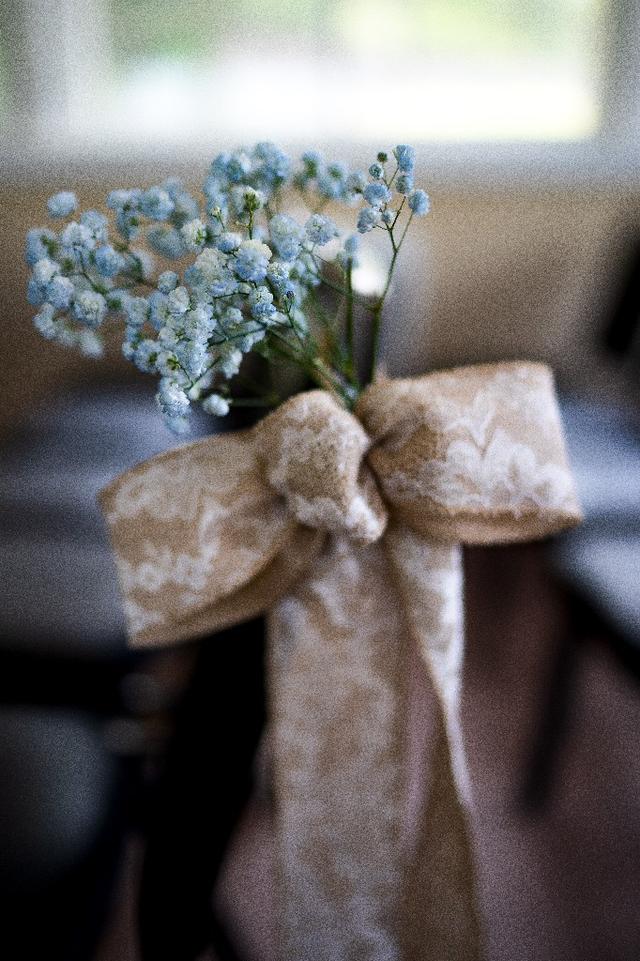 Windylane Florals - 2