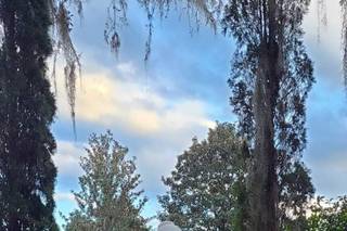 Middleton Place - 21
