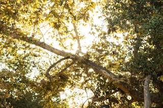 OC Yousif Photography - 21