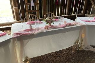 Enchanted Cactus Events - 6