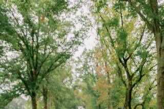 Nikki Robinson Photography - 27