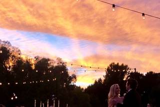 Tricia Dahlgren Events - 28