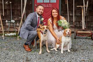 Wedding Puptials - 25