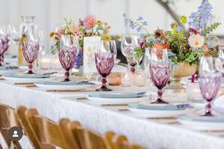 Suzanne Karp Photography - 11