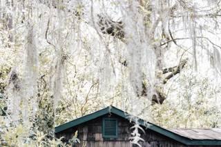 Amanda Sutton Photography - 27