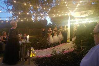 White Spark Events - 10