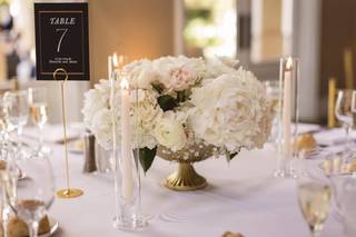 Allora Event Designs - 21