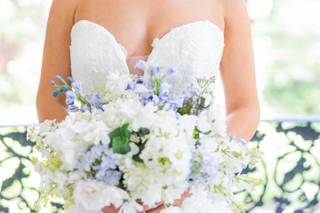 Antonia Scott Beauty - 4