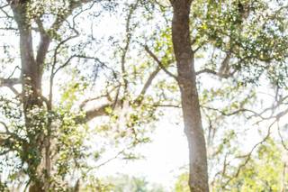 Brittany Morgan Photography - 184