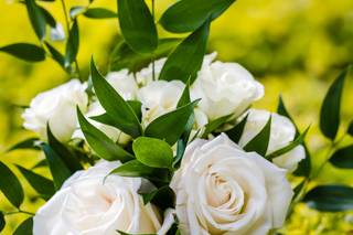 In Bloom Florist - 25