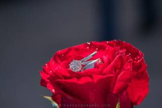 Morina Photography - 39