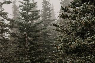 Fyrelite Photography - 6