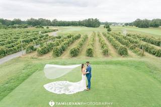 Renault Winery and Golf Resort - 19