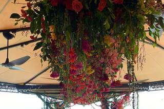Tropical Occasions - 17